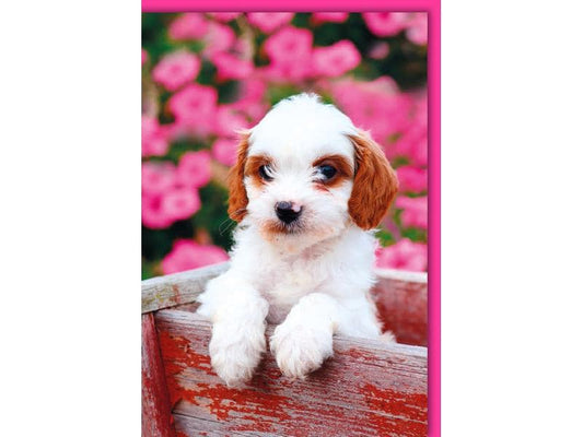 Braun + Company Carte à motif Chiot 11.5 x 17 cm