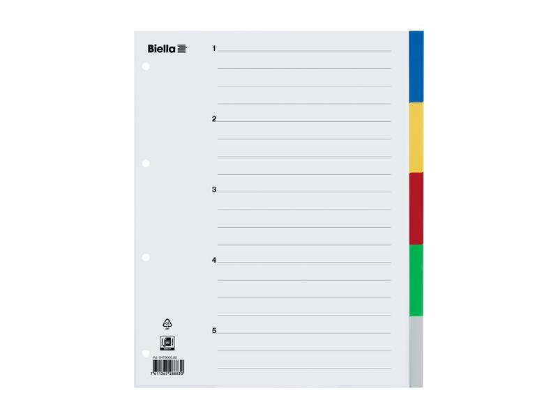 Biella Registre A4 5 pièces pour sacs de présentation, multicolores
