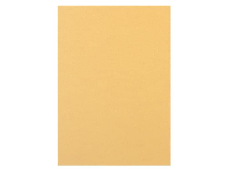 Rainbow Papier pour photocopie Rainbow 120 g/m² A4, Chamois