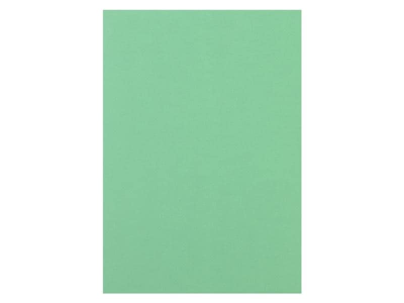 Rainbow Papier pour photocopie Rainbow 120 g/m² A4, Vert moyen