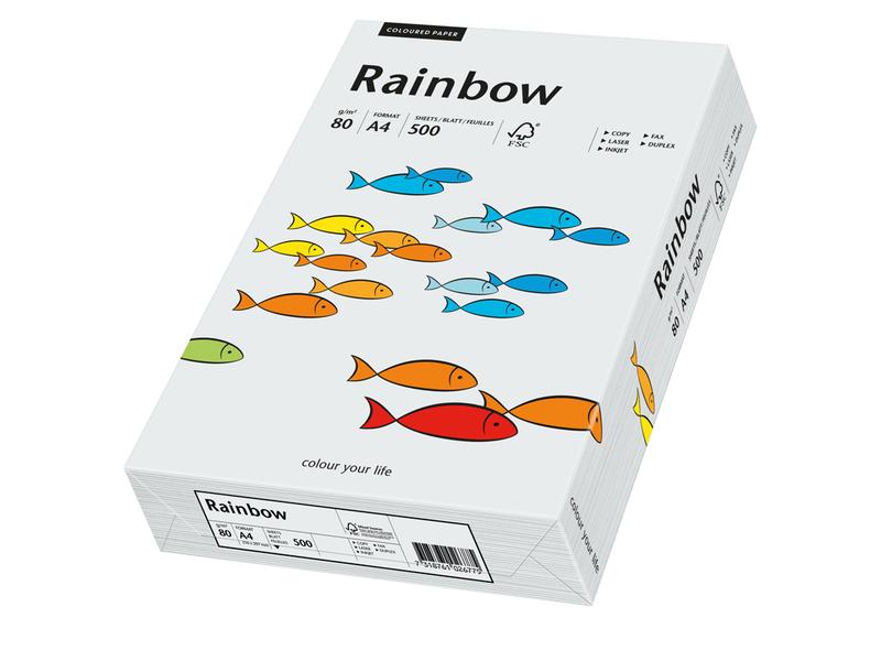 Rainbow Papier pour photocopie Rainbow 80 g/m² A4, Gris clair