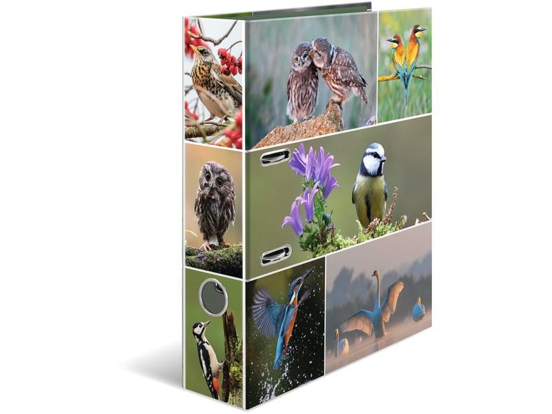 HERMA Dossier Oiseaux du pays 7 cm, Multicolore