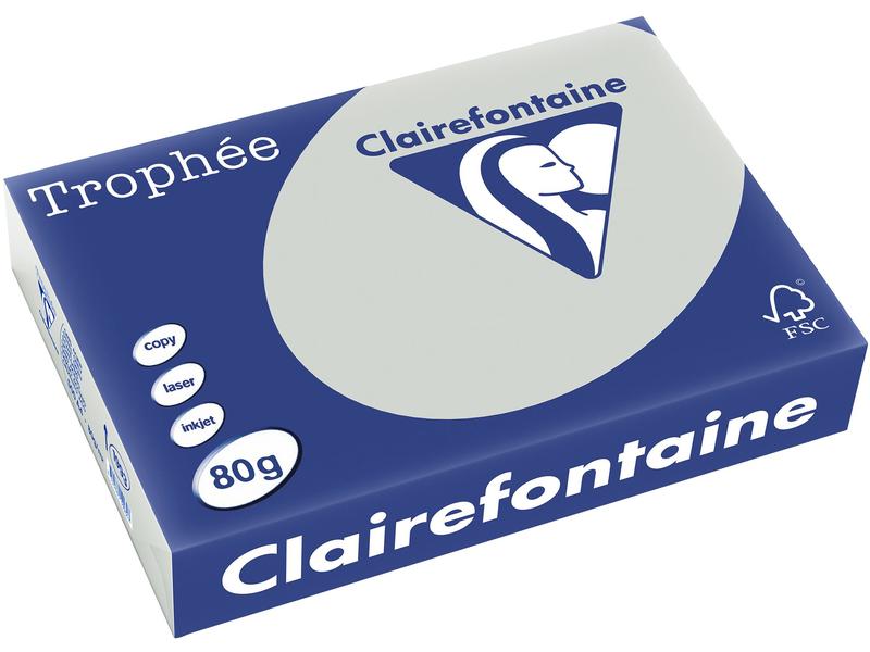 Clairefontaine Papier pour photocopie Trophée A4, 80 g/m², gris, 500 feuilles