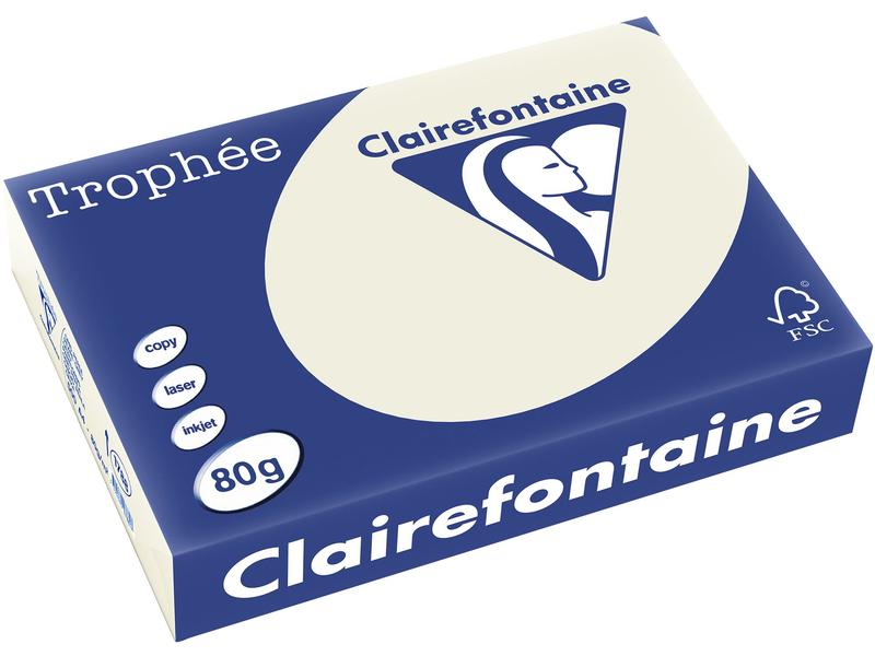 Clairefontaine Papier pour photocopie Trophée A4, 80 g/m², gris clair, 500 feuilles
