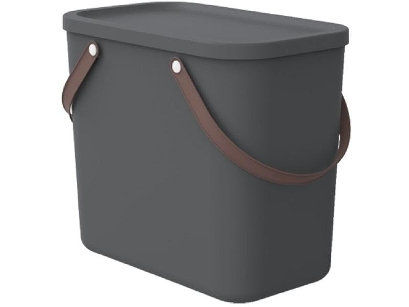 Rotho Boîte de rangement Albula 25 l, Anthrazit