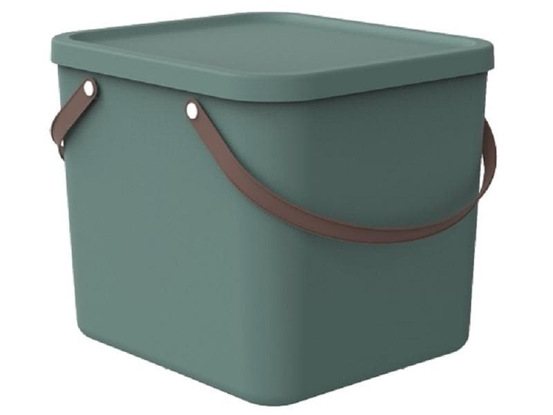 Rotho Boîte de rangement Albula 40 l, vert Mistletoe