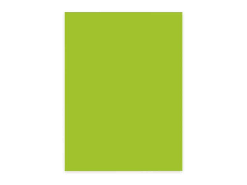 ELCO Papier pour photocopie Color A4, Vert, 80 g/m²,100 Blatt