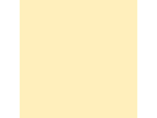 Rainbow Papier pour photocopie A4, Chamois, 80 g/m², 500 feuilles, 2 perforations