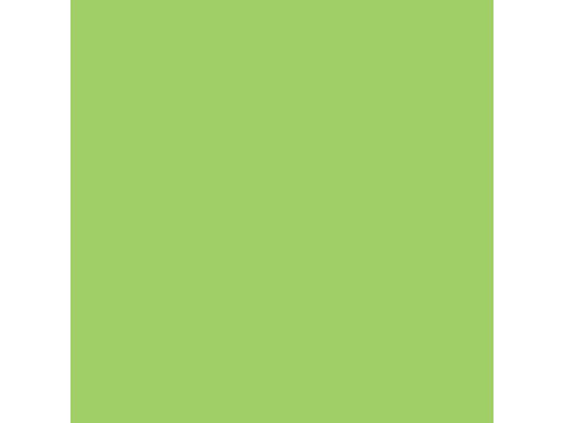 Rainbow Papier pour photocopie A3, Vert, 80 g/m²,500 Blatt