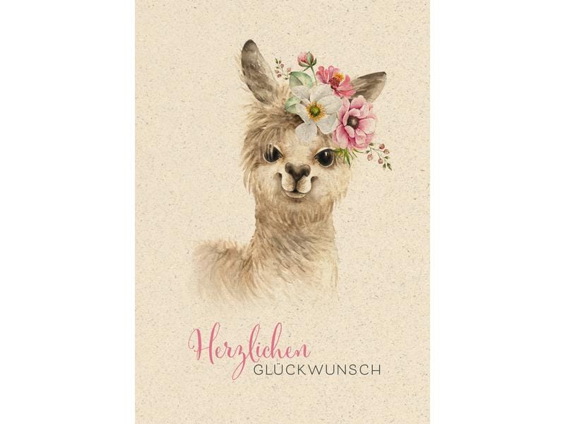 Natur Verlag Carte de félicitations Lama 17.5 x 12.2 cm