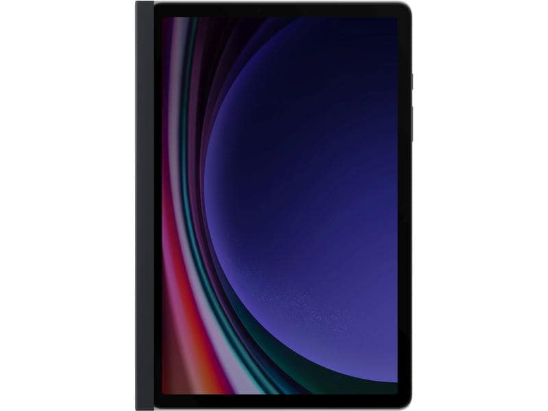 Samsung Films protecteurs pour tablettes Privacy Galaxy Tab S9 11 "