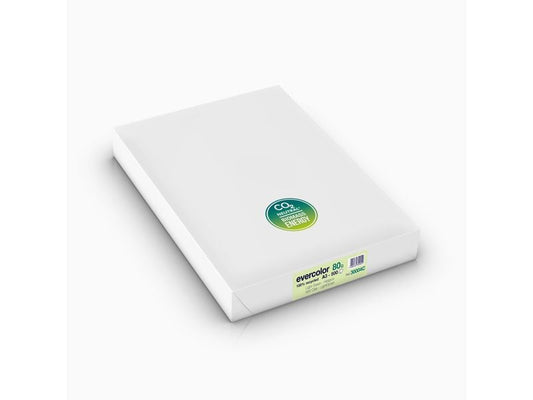 Clairefontaine Papier pour photocopie Evercolor A3, Vert clair, 80 g/m²,500 Blatt