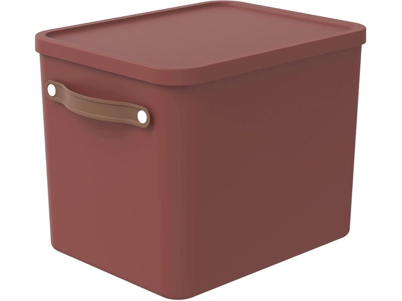 Rotho Boîte de rangement MALOJA Brun foncé