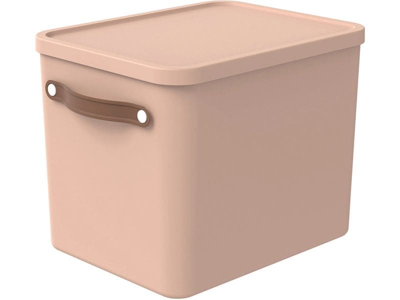 Rotho Boîte de rangement MALOJA Brun clair