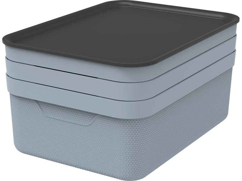 Rotho Boîte de rangement JIVE Bleu pigeon