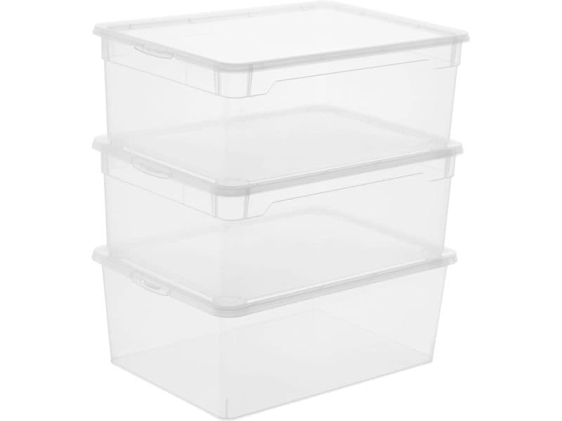 Rotho Boîte de rangement Men Shoe Transparent, 3 pcs.