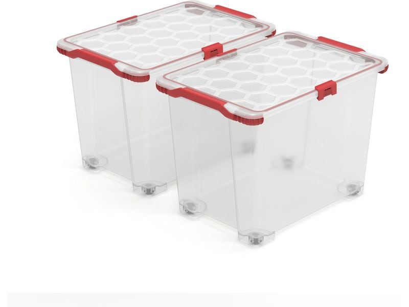 Rotho Boîte de rangement EVO TOTAL Transparent, 2 pcs.
