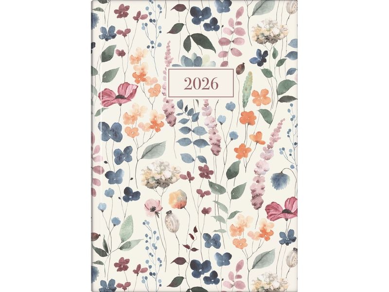 rido idé Agenda journalier Design Line Watercolor 2026