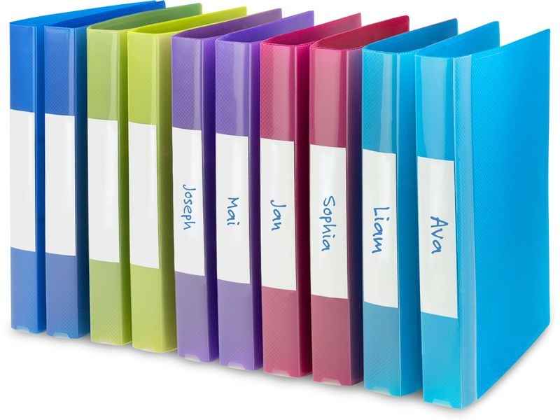Rapesco Classeur A4 à 2 anneaux 41.5 cm, Multicolore, 10 pièces