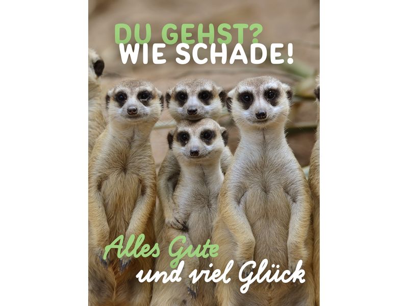 Cart Carte de félicitations Meilleurs vœux et bonne chance A4