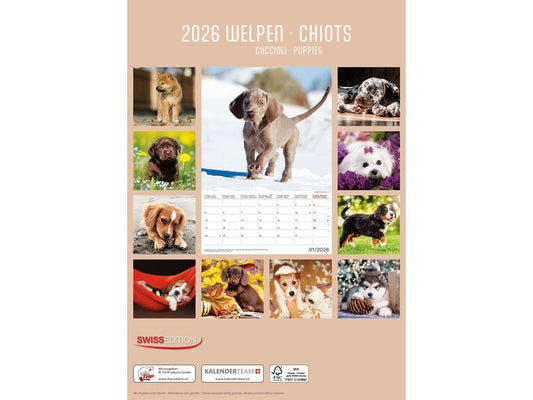 TH Calendrier Chiots 2026