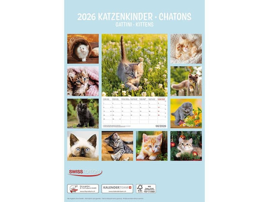 TH Calendrier Chatons 2026