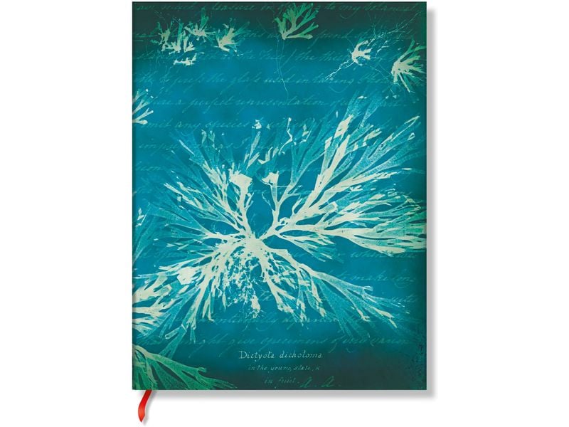 Paperblanks Bloc-notes Fleurs de mer 17,5 x 22,5 cm, À lignes