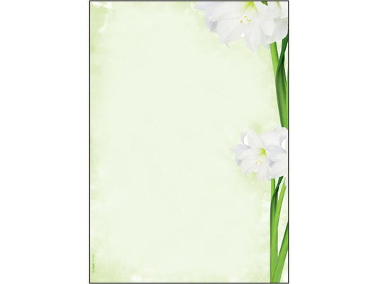 Sigel Papier à motif Green Flower A4, 25 feuilles