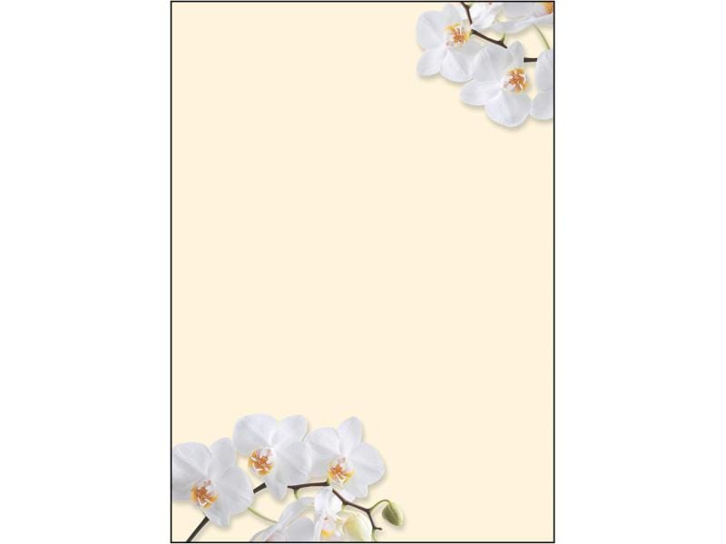 Sigel Papier à motif White Orchid A4, 50 feuilles