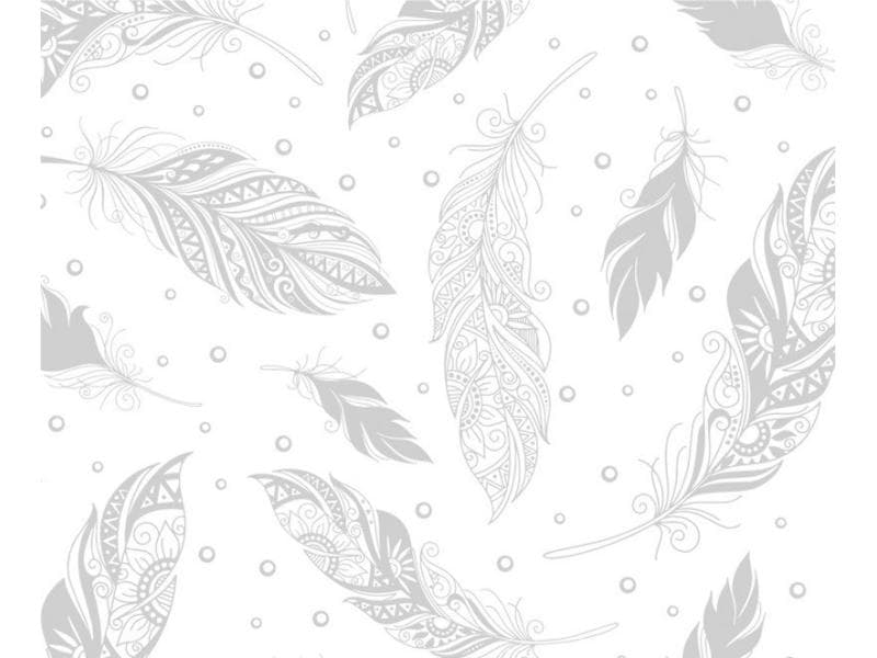 URSUS Papier magique 250 g/m2 10 Feuille, Blanc, Plumes
