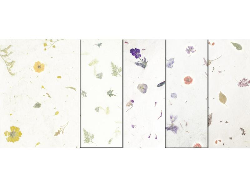URSUS Papier de bricolage Botanica 23 x 33 cm, 35 g/m², 5 feuilles