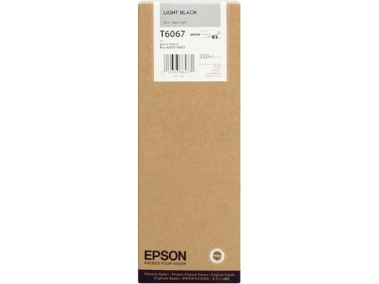 Epson Encre C13T606700 Light Black
