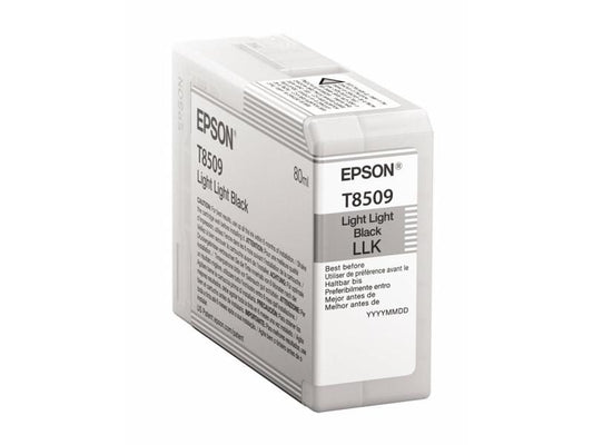 Epson Encre C13T850900