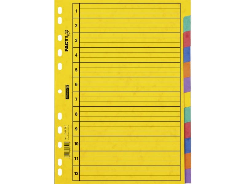 Brunnen Registre A4 Fact Plus 1-12