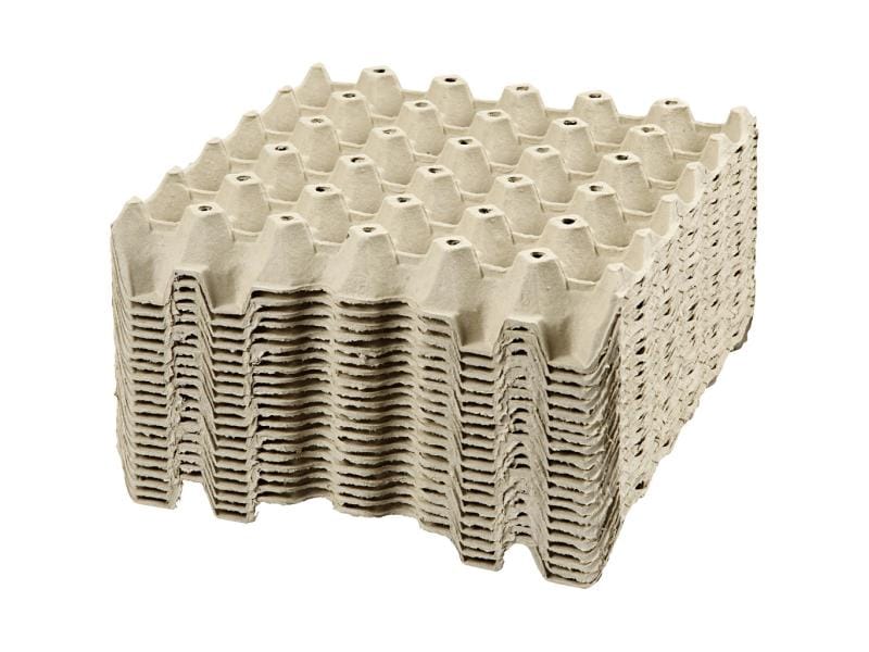 Creativ Company Boîte en carton Œufs 29 x 29 x 4 cm 20 pièces