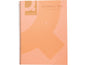 CONNECT Carnet de notes A4  Orange, paquet de 5