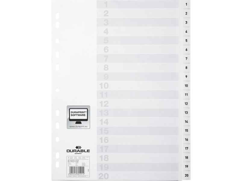 DURABLE Registre A4 1-20, avec feuille d'index