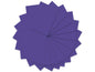 URSUS Papier coloré A4, 130 g/m², 100 feuilles, violet