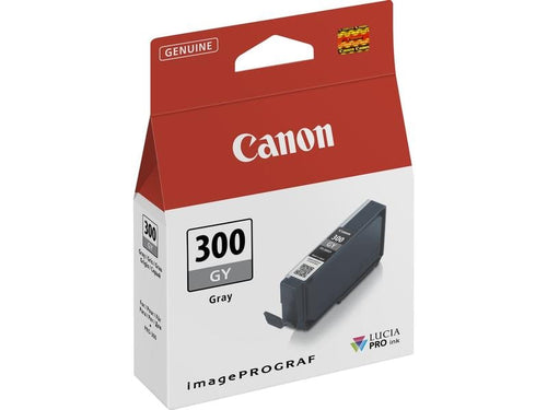 Canon Encre PFI-300GY / 4200C001 Gris