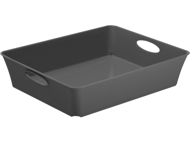 Rotho Boîte de rangement Living Box C5 / 2.5 l d'anthracite