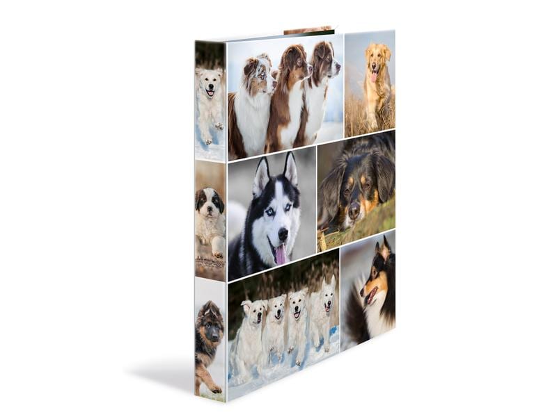 HERMA Classeur à anneaux Chiens 4 anneaux 3.5 cm