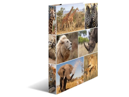 HERMA Classeur à anneaux Afrique 2-Ring 3.5 cm, Multicolore