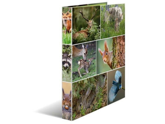 HERMA Classeur à anneaux Animaux de la forêt 2 anneaux 3.5 cm