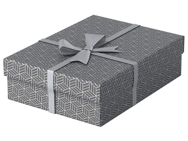 Leitz Boîte de rangement Esselte Home M flat Moyen, 3 pièces, Gris