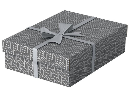 Leitz Boîte de rangement Esselte Home M flat Moyen, 3 pièces, Gris