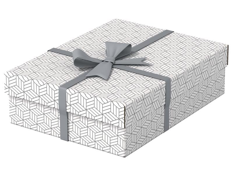 Leitz Boîte de rangement Esselte Home M flat Moyen, 3 pièces, Blanc