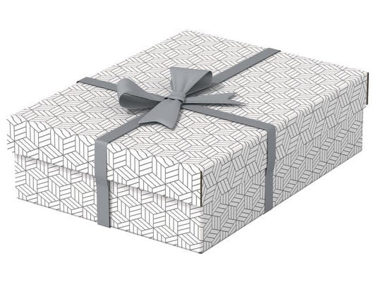 Leitz Boîte de rangement Esselte Home M flat Moyen, 3 pièces, Blanc