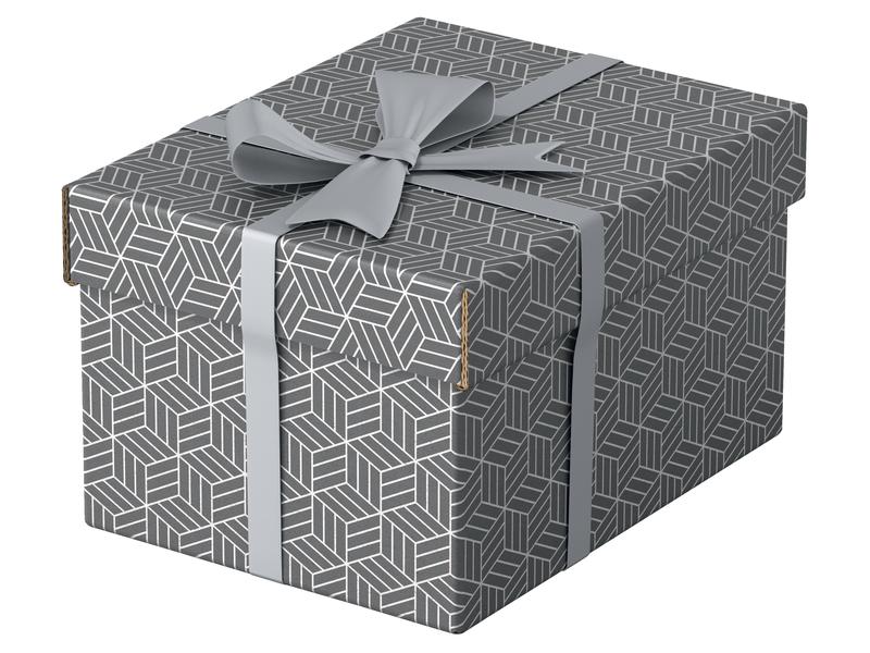 Leitz Boîte de rangement Esselte Home S Petit, 3 pièces, Gris