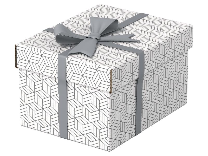 Leitz Boîte de rangement Esselte Home S Petit, 3 pièces, Blanc