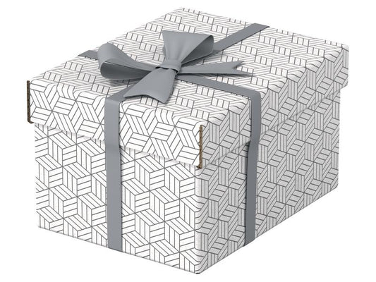 Leitz Boîte de rangement Esselte Home S Petit, 3 pièces, Blanc